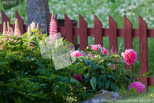 Image of flower bed