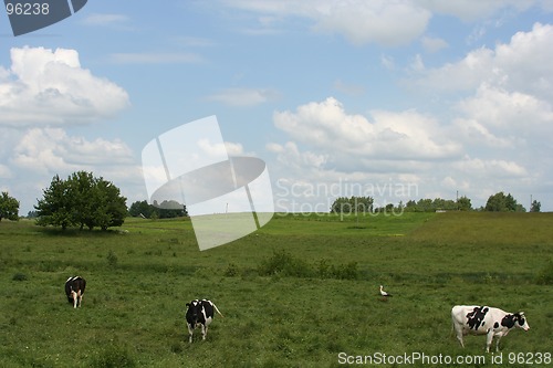Image of Rural Landscape