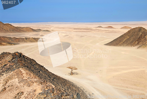 Image of Egypt desert