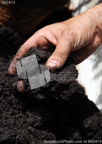 Image of Black soil