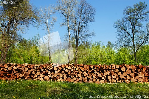 Image of Firewood pile outdoor