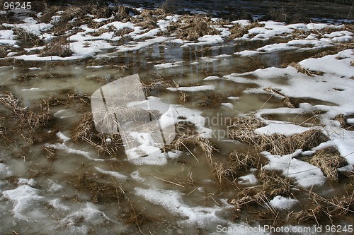 Image of Winter Scene