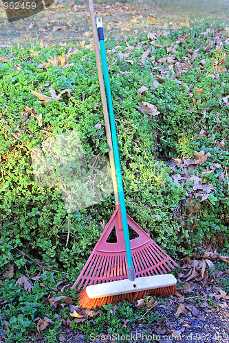 Image of The garden tools