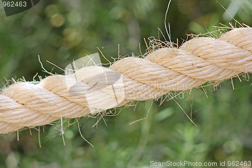 Image of The rope