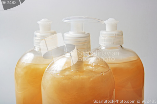 Image of The liquid soap