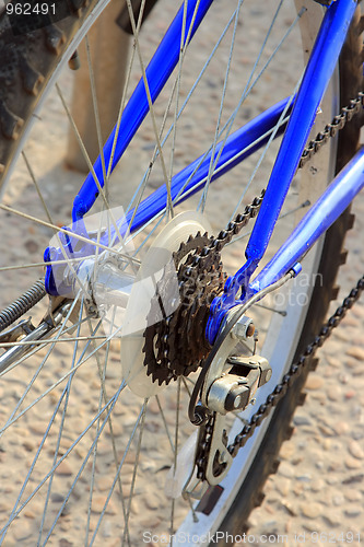Image of The bike