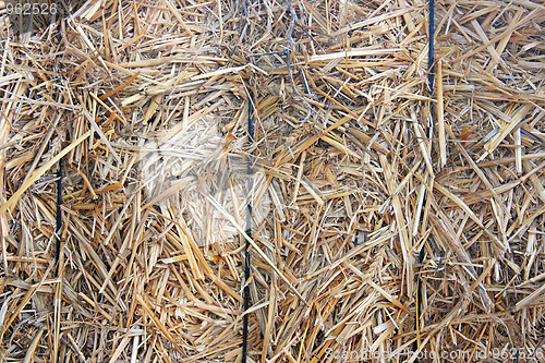 Image of The farm