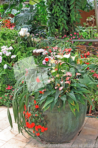 Image of The spring flowers