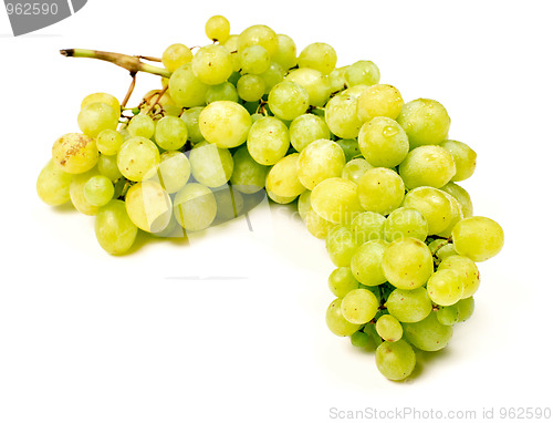Image of Green grape