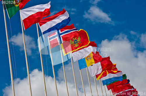 Image of Flags