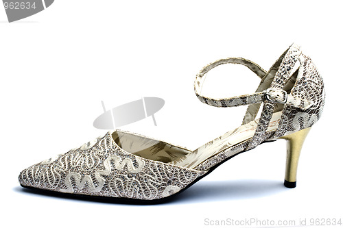Image of Beautiful lady shoe