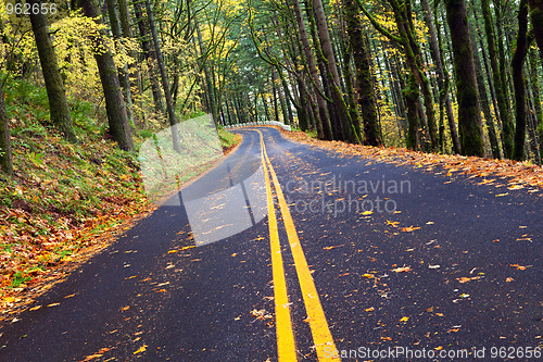 Image of fall winding forest mountain road