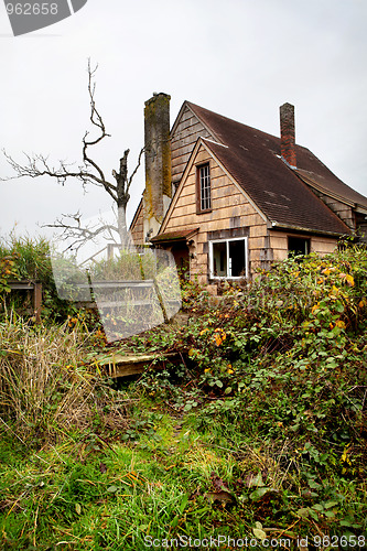 Image of Abandoned overgrown house