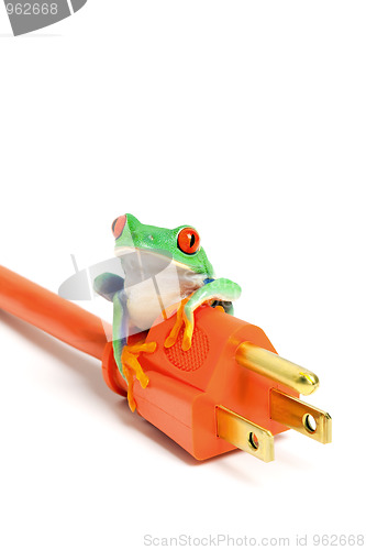 Image of green energy - frog on power plug isolated