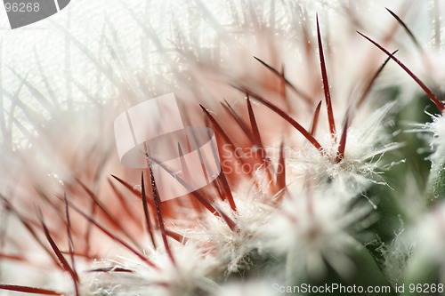 Image of Natural Background