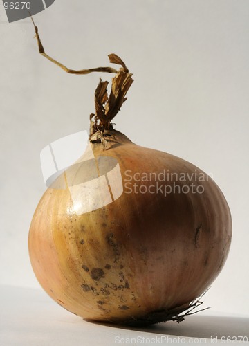 Image of Onion