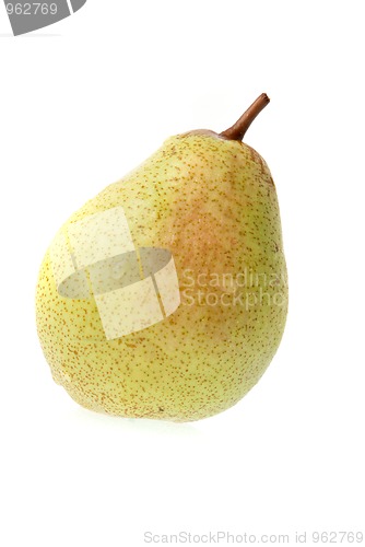 Image of Single ripe pear 