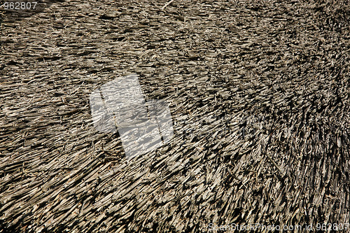 Image of Dry thatch 
