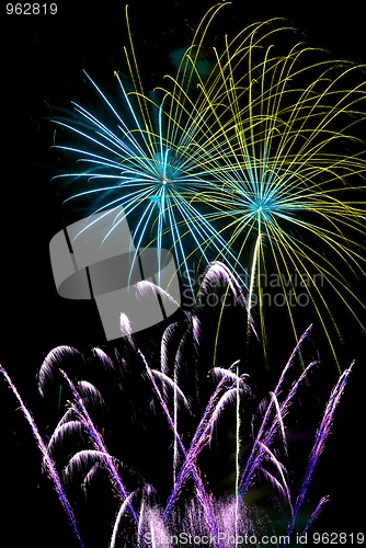 Image of Firework