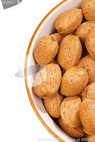 Image of Almonds