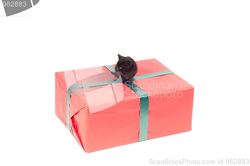 Image of Present box and kotten