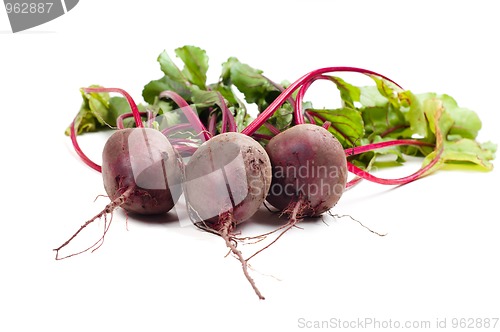 Image of Beet