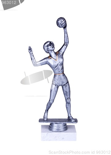 Image of volley silver award