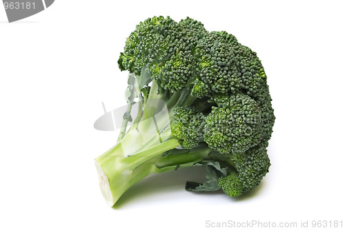 Image of isolated broccoli