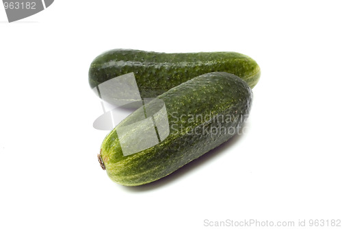 Image of Isolated cucumber