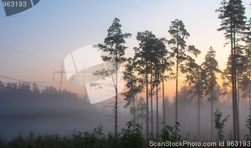 Image of Misty morning