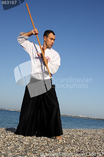 Image of Serious man exercising aikido