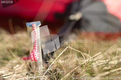 Image of Tent peg