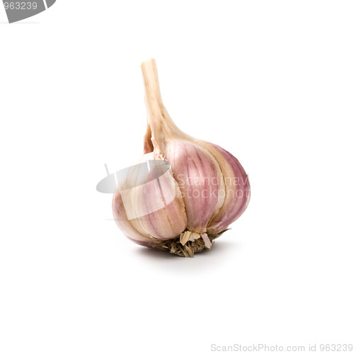Image of head of garlic