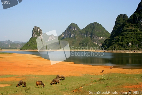 Image of Qiao Miao Calm Lake