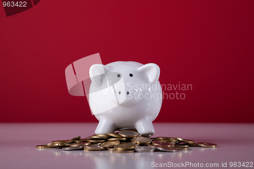 Image of Wealthy piggy bank 