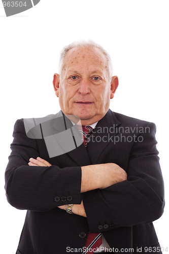 Image of Happy senior businessman