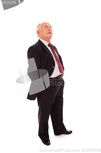 Image of Full senior businessman