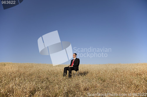 Image of Looking at the field