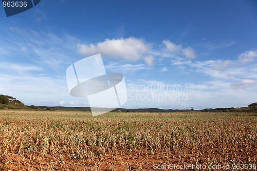 Image of Agriculture