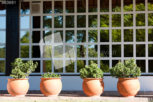 Image of Vases at the balcony