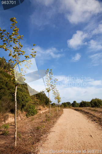 Image of Outdoor path
