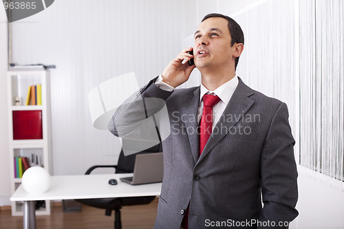 Image of Mature businessman talking on the phone