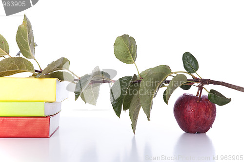 Image of Books and a fresh apple
