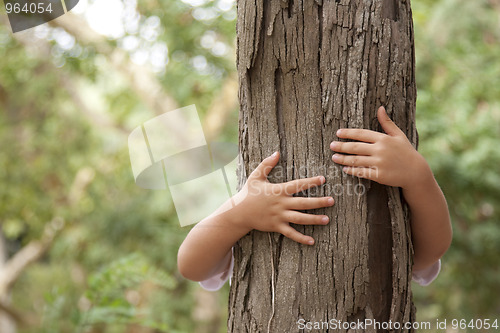 Image of Loving nature