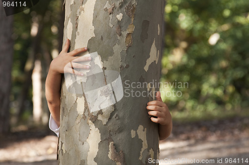 Image of Loving nature