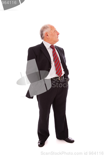 Image of Full senior businessman