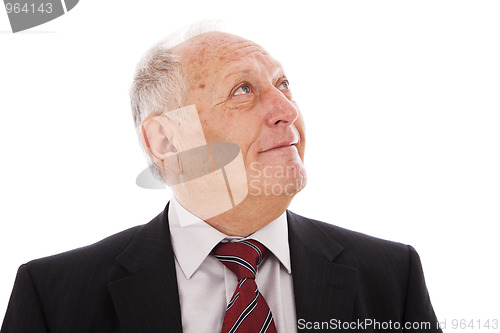 Image of Happy senior businessman