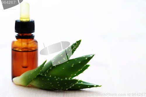 Image of aloe vera esential oil