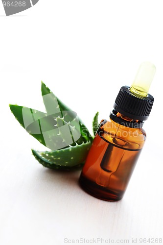 Image of aloe vera esential oil