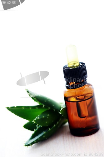 Image of aloe vera esential oil